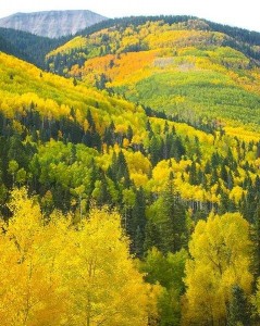 colorado in Fall